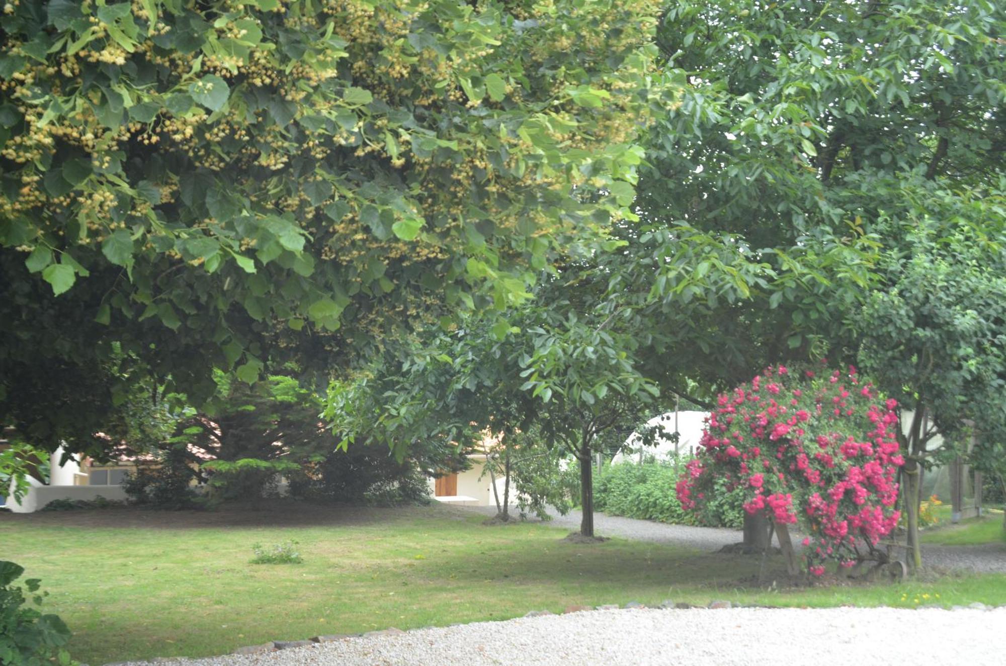 Vairé Chambres D'Hotes La Forterie מראה חיצוני תמונה