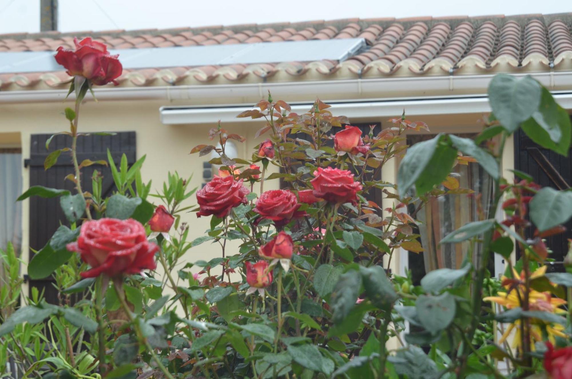 Vairé Chambres D'Hotes La Forterie מראה חיצוני תמונה