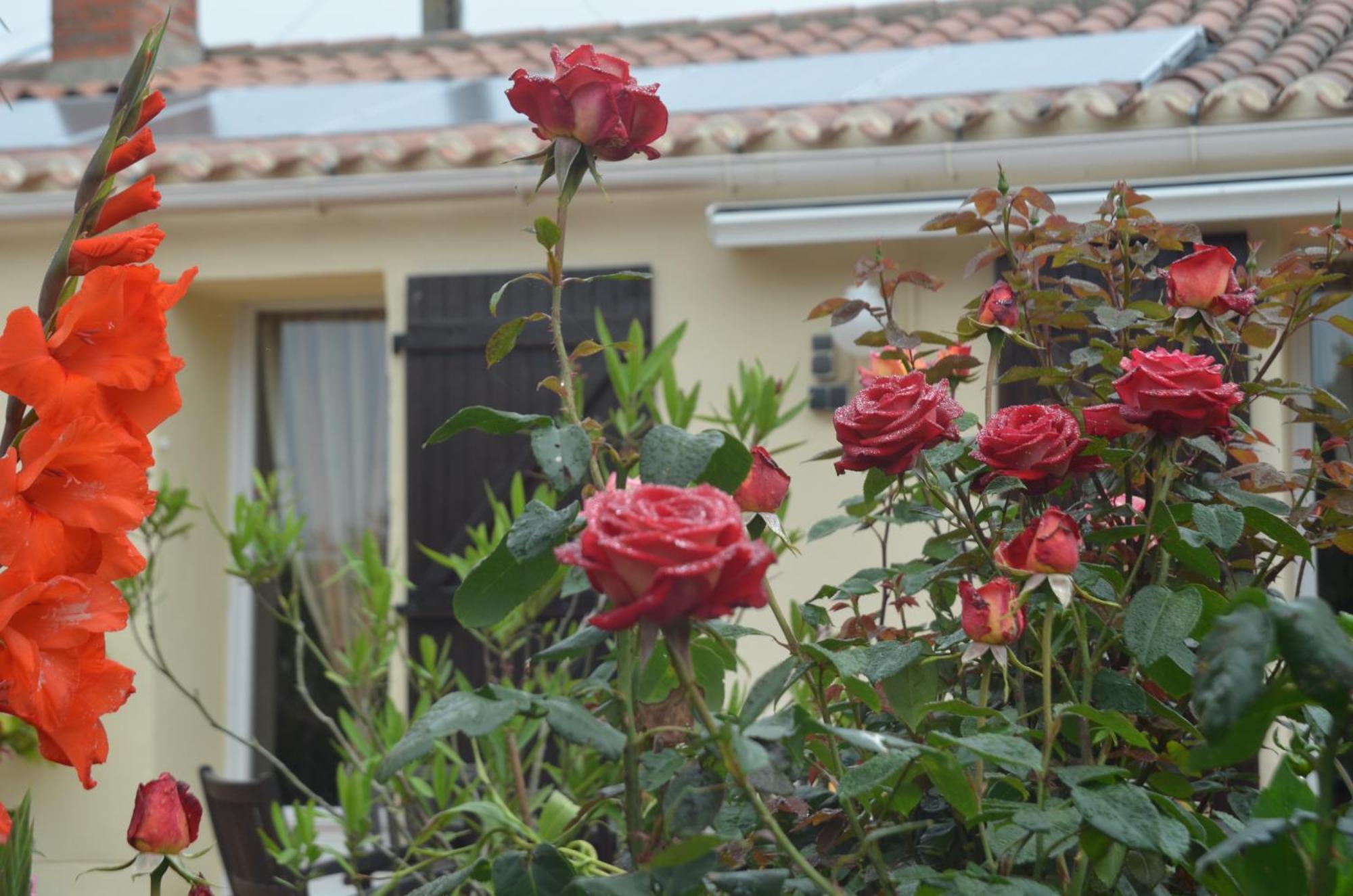 Vairé Chambres D'Hotes La Forterie מראה חיצוני תמונה
